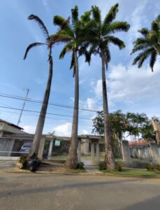 Casa en Venta Guaparo, Valencia. Estado Carabobo.