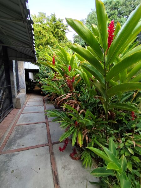 Casa en Venta en Urbanización Guaparo Valencia