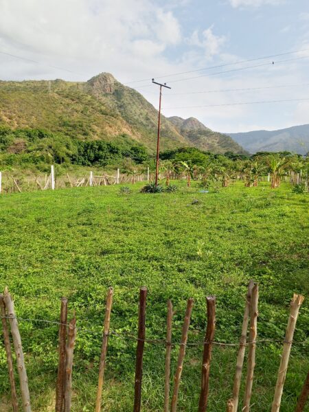 Terreno en venta vía VIGIRIMA la peñita