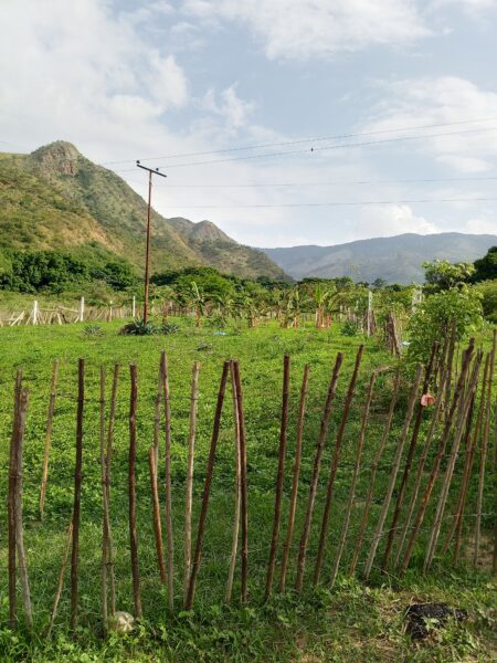 Terreno en venta vía VIGIRIMA la peñita