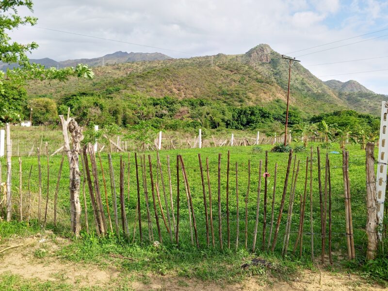 Terreno en venta vía VIGIRIMA la peñita