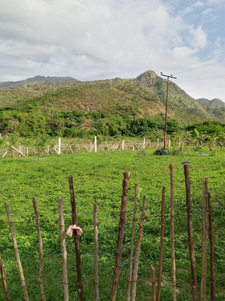 Terreno en venta vía VIGIRIMA la peñita