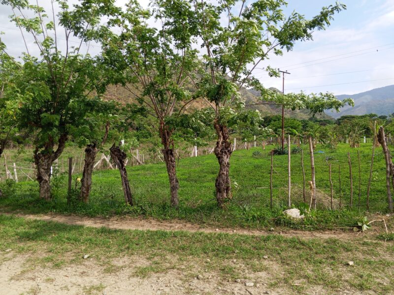 Terreno en venta vía VIGIRIMA la peñita