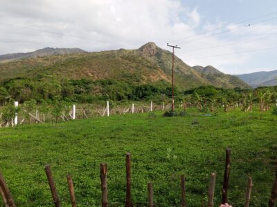 Terreno en venta vía VIGIRIMA la peñita