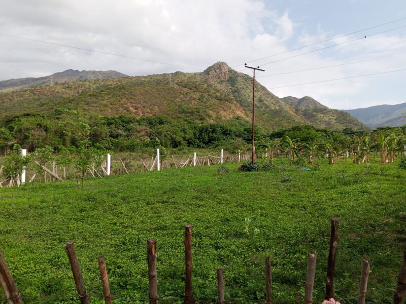 Terreno en venta vía VIGIRIMA la peñita