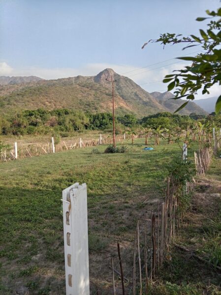Terreno en venta vía VIGIRIMA la peñita