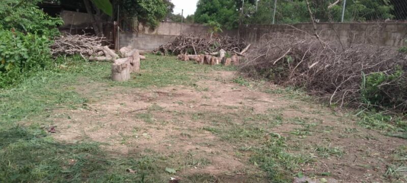 VENTA TERRENO QUEBRADA HONDA YAGUA