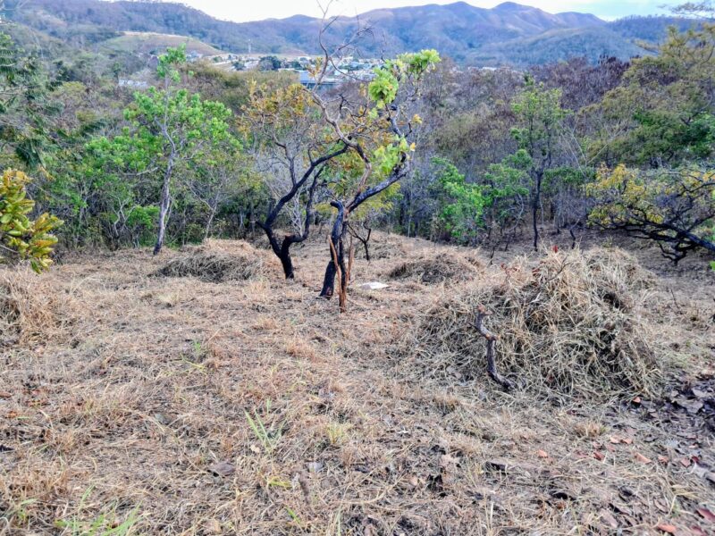 Terreno en Venta, Colinas de Guataparo, Valencia Edo. Carabobo