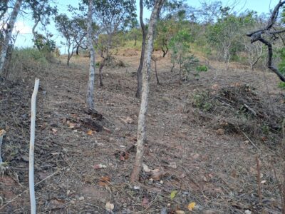 Terreno en Venta, Colinas de Guataparo, Valencia Edo. Carabobo