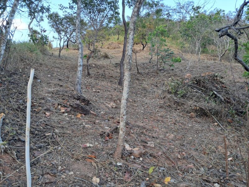 Terreno en Venta, Colinas de Guataparo, Valencia Edo. Carabobo