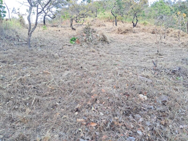 Terreno en Venta, Colinas de Guataparo, Valencia Edo. Carabobo