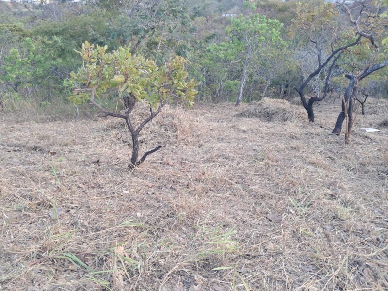 Terreno en Venta, Colinas de Guataparo, Valencia Edo. Carabobo