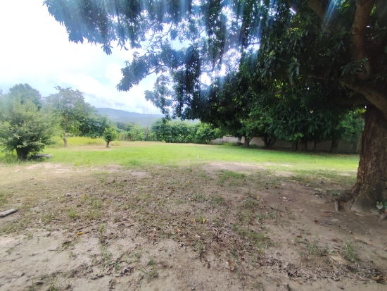VENDO MINI FINCA EN LA PEÑITA VIA VIGIRIMA, MUNICIPIO GUACARA.