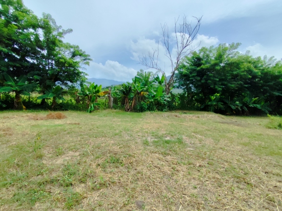VENDO MINI FINCA EN LA PEÑITA VIA VIGIRIMA, MUNICIPIO GUACARA.