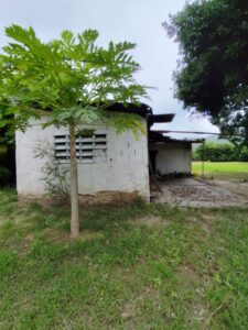 VENDO MINI FINCA EN LA PEÑITA VIA VIGIRIMA, MUNICIPIO GUACARA.