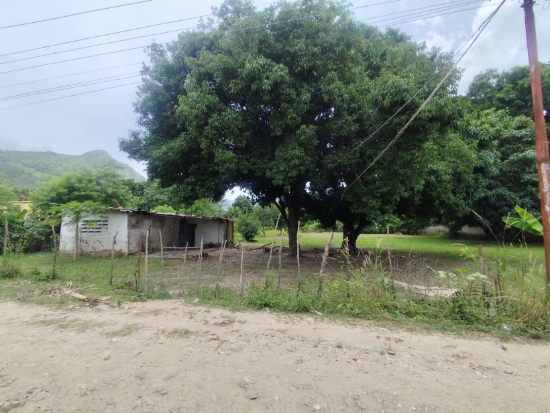 VENDO MINI FINCA EN LA PEÑITA VIA VIGIRIMA, MUNICIPIO GUACARA.
