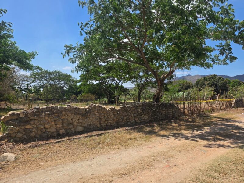 VENDO TERRENO UBICADO EN YAGUA SECTOR LOS NARANJOS