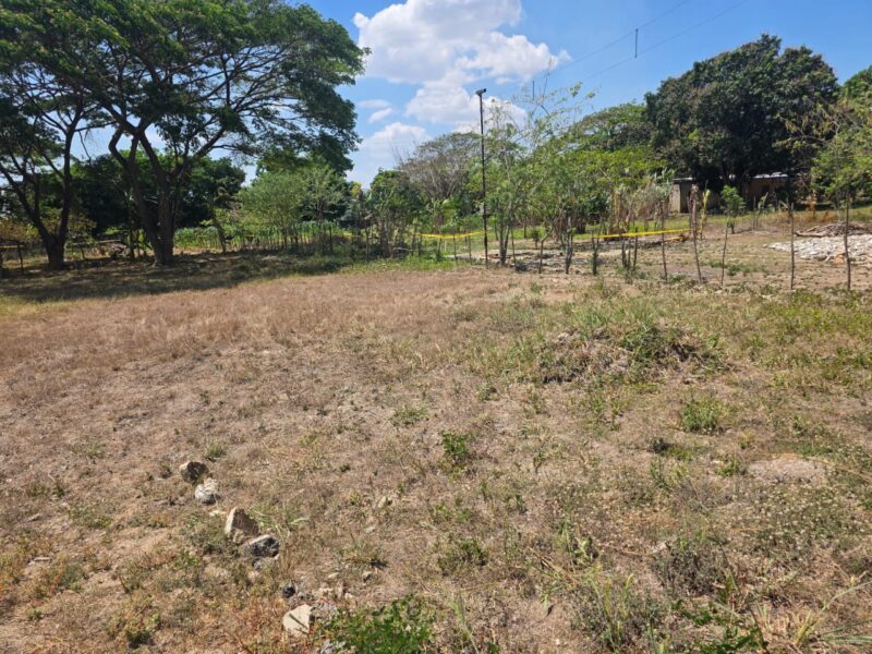 VENDO TERRENO UBICADO EN YAGUA SECTOR LOS NARANJOS