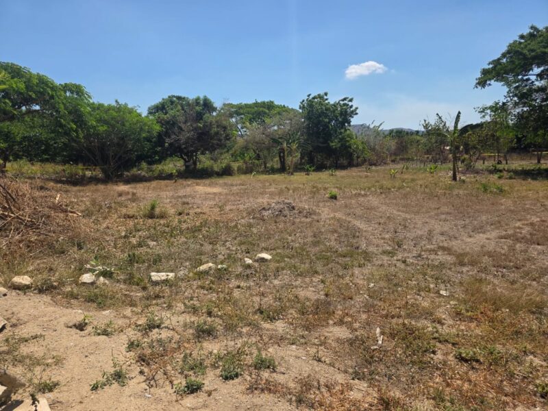 VENDO TERRENO UBICADO EN YAGUA SECTOR LOS NARANJOS