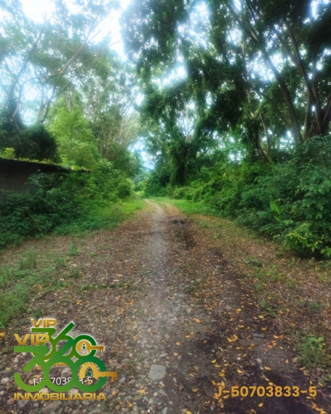 VENDO FINCA AGROINDUISTRIAL UBICADO EN MONTALBAN ESTADO CARABOBO.